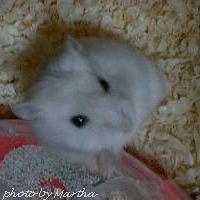 �g�C���Ɏ�������A���グ�Ă��܂�