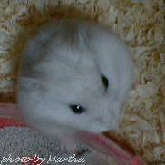 ���x�͑O�����Ă��܂�