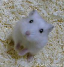 ����������グ�Ă��܂��I