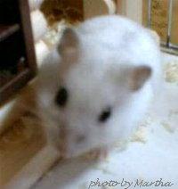 �o�Ă����Ƃ�