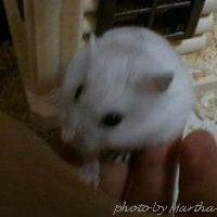 ��ɏ���Ă���