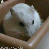 �������̒���