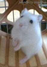 �܂킵�Ԃ̏�ŗ����Ă��܂�