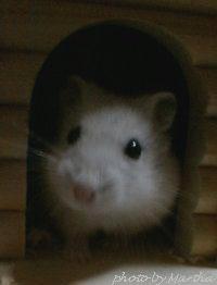 �����������o�����Ƃ�