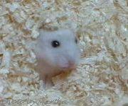 ������Ɗ���o���܂���