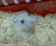 �����o���Ă��܂�