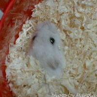 �Ă΂ꂽ���ȁH