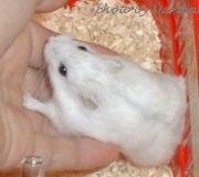 ��̏�ɗ��܂���