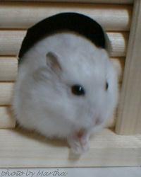 �����������o���Ă��܂�