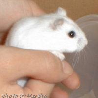 ��̒�����o�����H