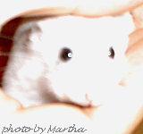 �w�̊Ԃ������o���Ă��܂�