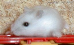 �悶�o���Ƃ��Ă���