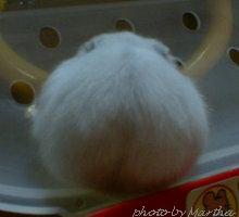 ���p�ł��炩�킢���Ǝv���d�d�i�O�O�G