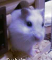 ��������o�Ă����Ƃ�