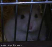 �o���Ă����`(�H)