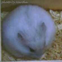 �܁`��܂�d�d