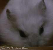 �����ՁI�d�d�������Ɋ��������ł���