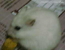 ������Ƃ�����