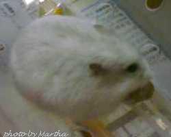 �����������������d�d