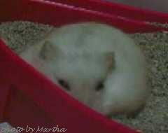 �O���猩����d�d