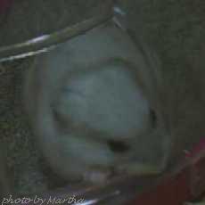 �Ȃ񂩖�������H�d�d�Ȃ߂Ȃ߂Ȃ߂Ȃ�