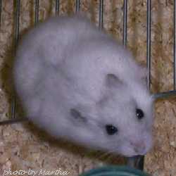 �͂����̏ォ�琅�����ށI