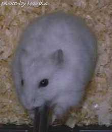 ���x�͉�����d�d