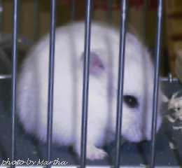 �P�[�W�̒���