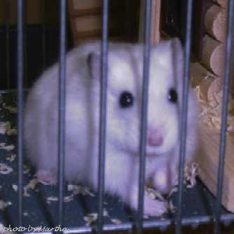 �Ă΂ꂽ���ȁH