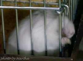 �o���`�������������d�d