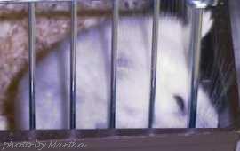 �o���o���`�Ȃ߂Ȃ߁d�d