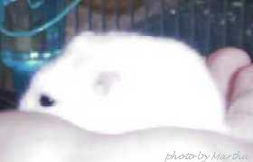 �o���Ă��炦���d�d