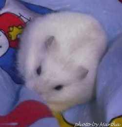 ���������d�d