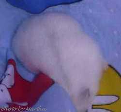 ������邩�ȁ`