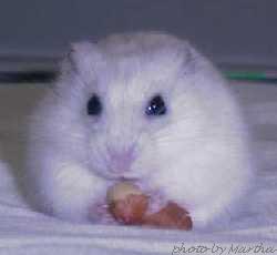 ���������Ɓd�d