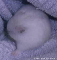 �̂������Ă��܂�