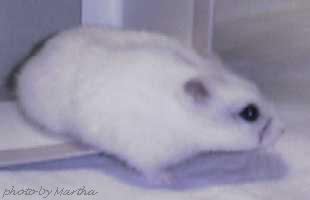 �ǂ��s���̂��ȁd