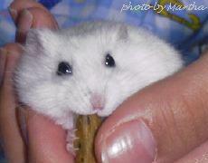 ��̒��ł����