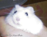 ��̒�����o�Ă����Ƃ�