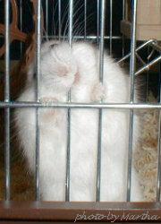  ���������d�d