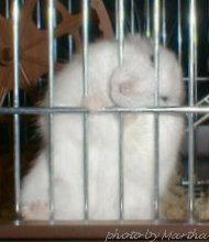 ����ɂ��������d�d