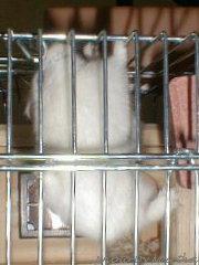 ������Ƃ悶�o���Ă݂�d�d