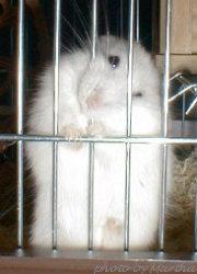 ����������������������