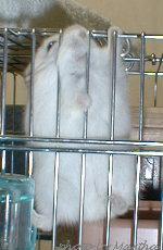 �o���o���U����P�e