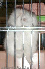 �o���o���U����Q�e