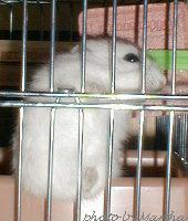 �������̏�̕ӂ�ɂ����݂���