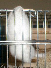 �o��邩�ȁd�d�V�䂩��Ԃ牺����