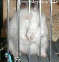 �o���`�I�d�d�������������d