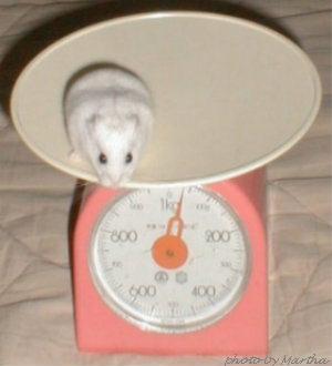 ���^�V�������H