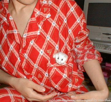 �X�~�}�Z���d�d(^^;;;